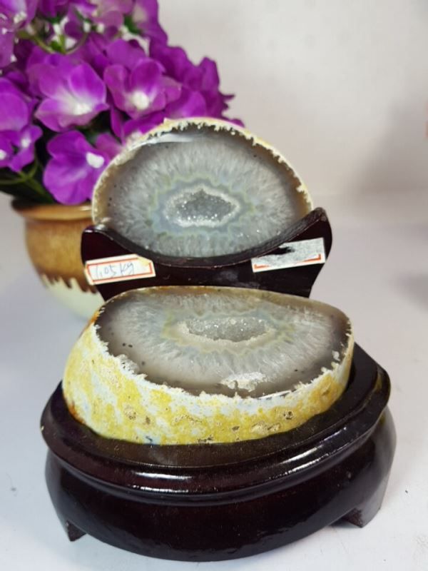 Động Mã Não Trắng M28